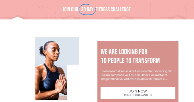 An animated headline created using SeedProd An animated headline created using SeedProd