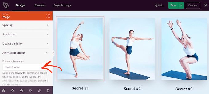 Adding entrance animations using SeedProd Adding entrance animations using SeedProd