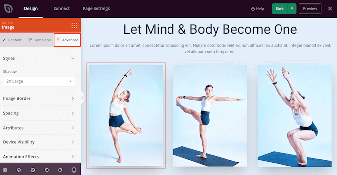 Adding entrance animations using SeedProd Adding entrance animations using SeedProd