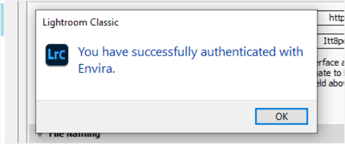 Anslut Envira framgångsrikt