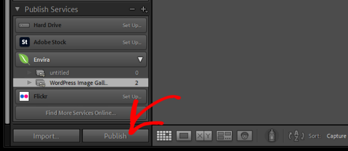 Publicera din Lightroom-samling