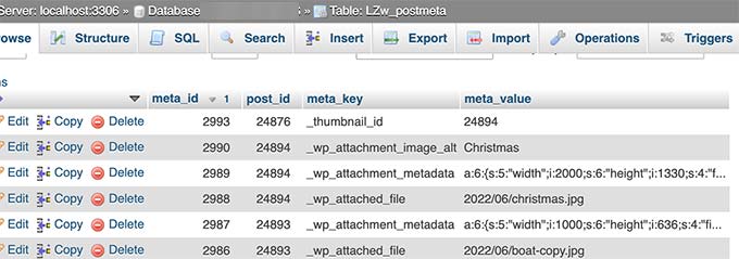 Metadati delle immagini memorizzati nel database di WordPress