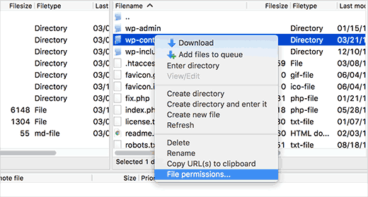 FTP file permissions FTP file permissions