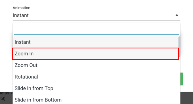 Choosing the Zoom In animation