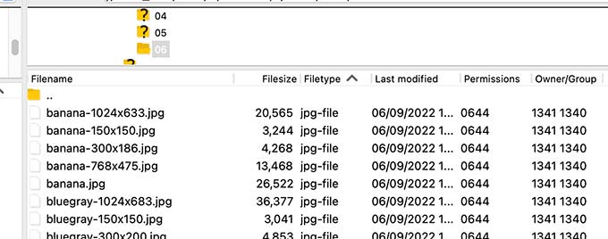 Dimensioni multiple delle immagini