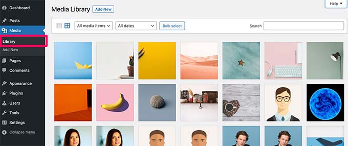 Libreria multimediale di WordPress