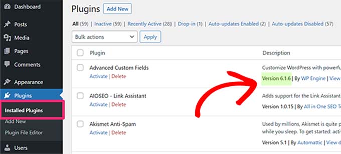Comprobar la versión del plugin