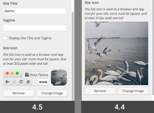Previzualizare pictogramă site