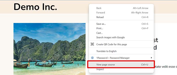 Ver código fuente de la página