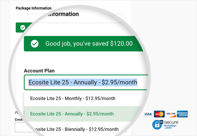 Choose the yearly plan for the best GreenGeeks discount
