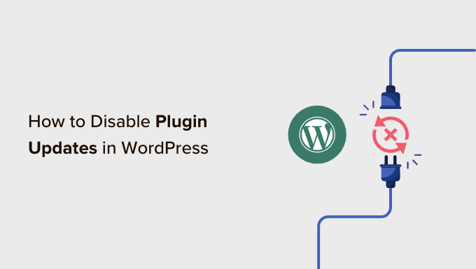 Plugin-Updates in WordPress deaktivieren