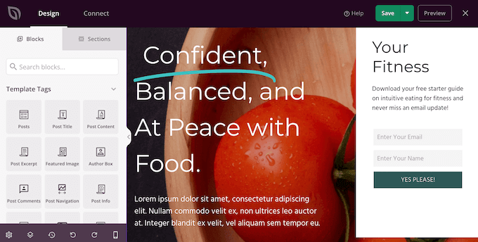 The SeedProd theme customizer The SeedProd theme customizer