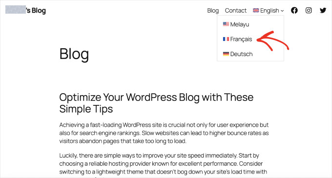 wpml-navigation-language-switcher-french WPML navigation language switcher French