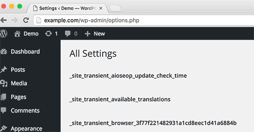 Hidden options page in WordPress Hidden options page in WordPress