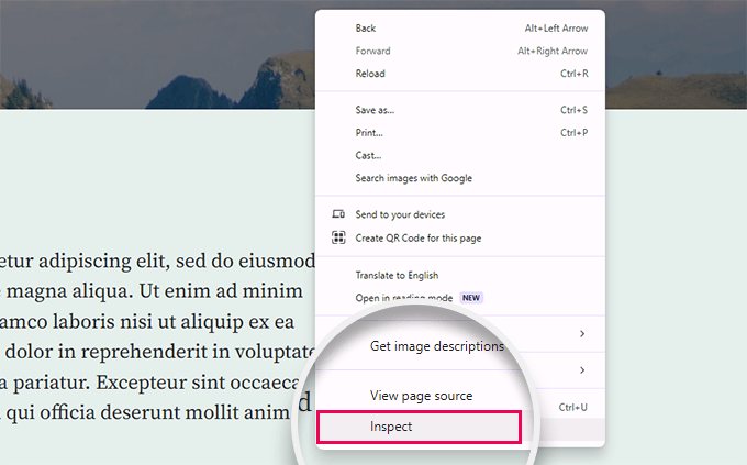 Opening Inspect developer tools in Google Chrome Opening Inspect developer tools in Google Chrome
