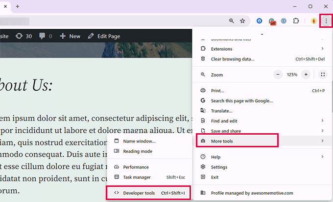 Launch developer tools Launch developer tools