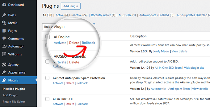 Rollback plugin update Rollback plugin update