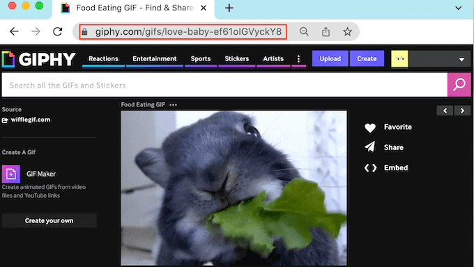 Kopiera en Giphy GIF-URL