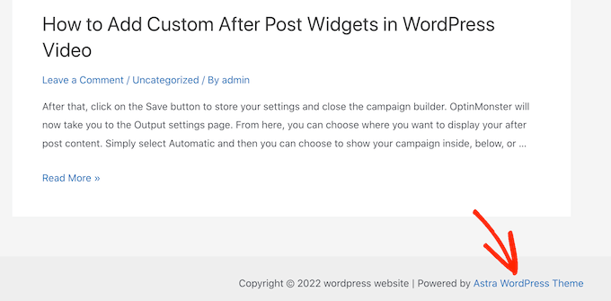 The Astra footer disclaimer The Astra footer disclaimer