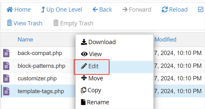 Editing the template tags classic theme file with the file manager Editing the template tags classic theme file with the file manager