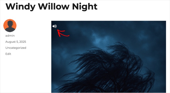 Previzualizare Povești Audio