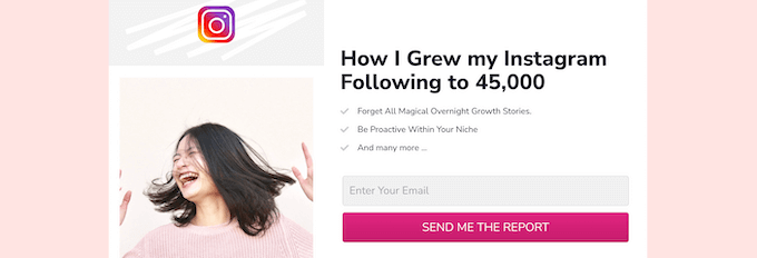 SeedProd page example SeedProd page example