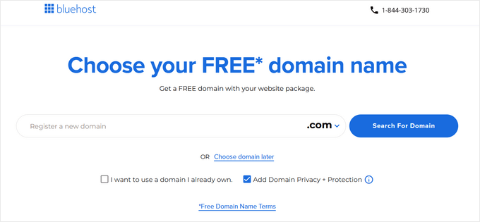 Choose a domain name with Bluehost