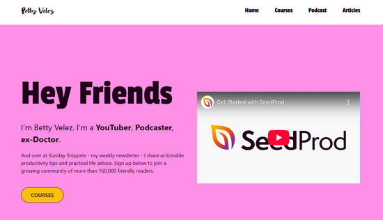 SeedProd ビデオテーマ