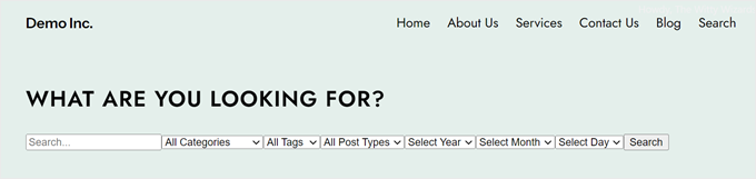 Das benutzerdefinierte Such- und Filterformular, erstellt mit WPCode