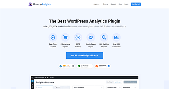 MonsterInsights website MonsterInsights website