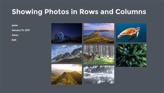Photos in rows and columns Photos in rows and columns