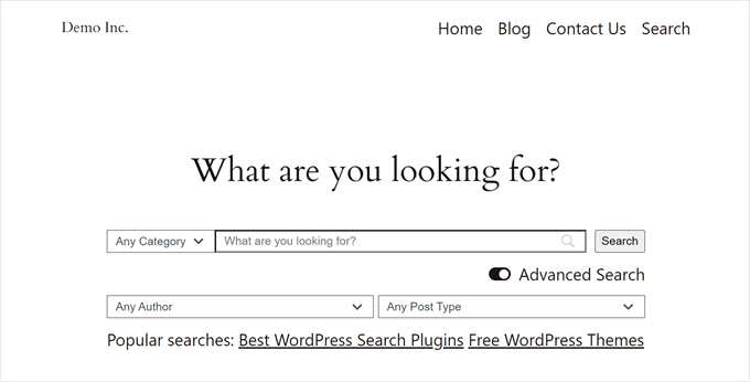 Wie das SearchWP-Suchformular zum Filtern von Beiträgen und Seiten aussieht
