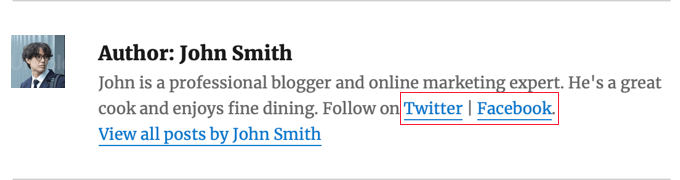 Mostrando perfiles sociales de AIOSEO en tu tema usando código