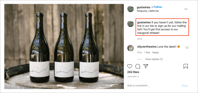 Gustwines cta Gustwines cta