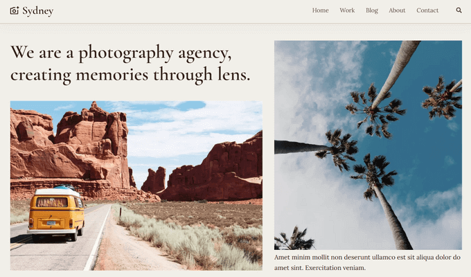 Sydney Pro WordPress theme for artists and photographers