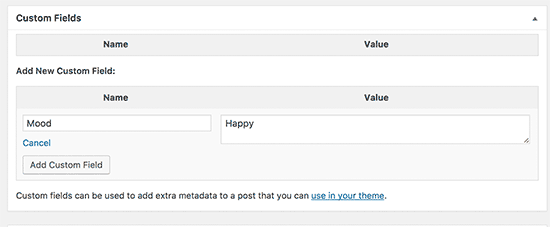 Dodawanie niestandardowego pola do wpisu lub strony WordPress