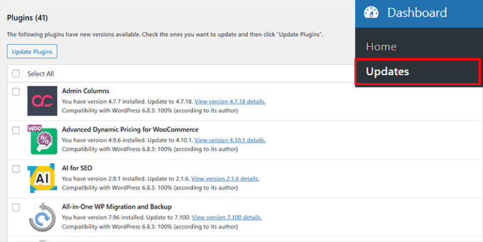 Perform updates in WordPress