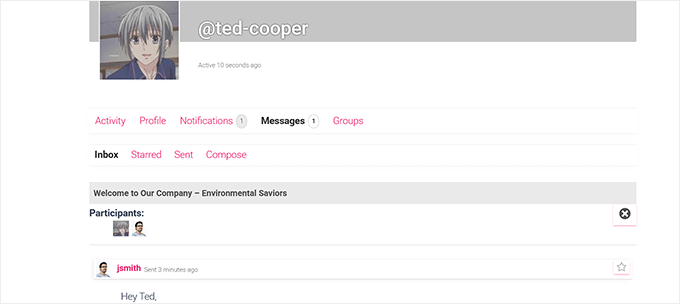 Send a reply with private messaging in BuddyPress