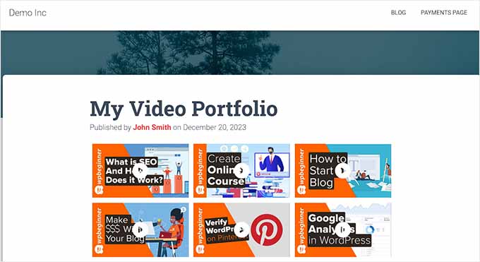 Previzualizare portofoliu video