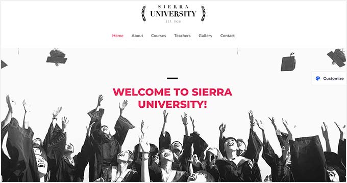 Tema de sitio web universitario Astra