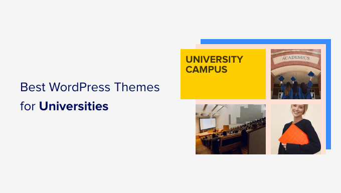 Mejores Temas de WordPress para Universidades