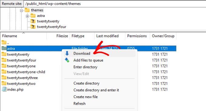 Download active theme Download active theme