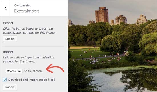 Import Customizer Settings