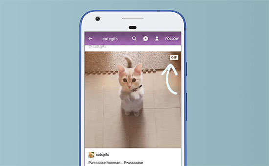 Pausiertes GIF-Beispiel