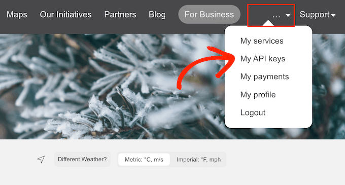 Getting a weather forecast API key for your WordPress website Getting a weather forecast API key for your WordPress website