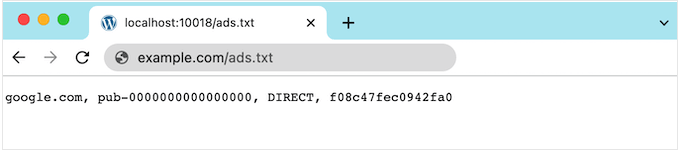 An example of an ads.txt file in WordPress An example of an ads.txt file in WordPress