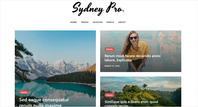 Sydney Pro WordPress blog theme