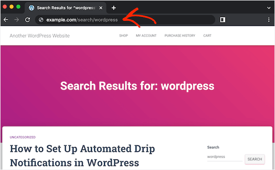 A custom WordPress search slug URL A custom WordPress search slug URL