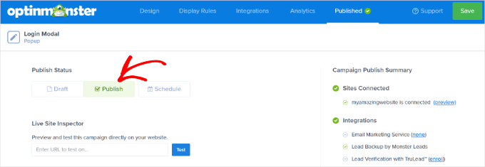 Kampanyanızı yayınlayın