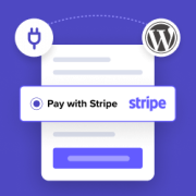Tested 14 Best Stripe Payment Plugins for WordPress & 6 Made the Cut